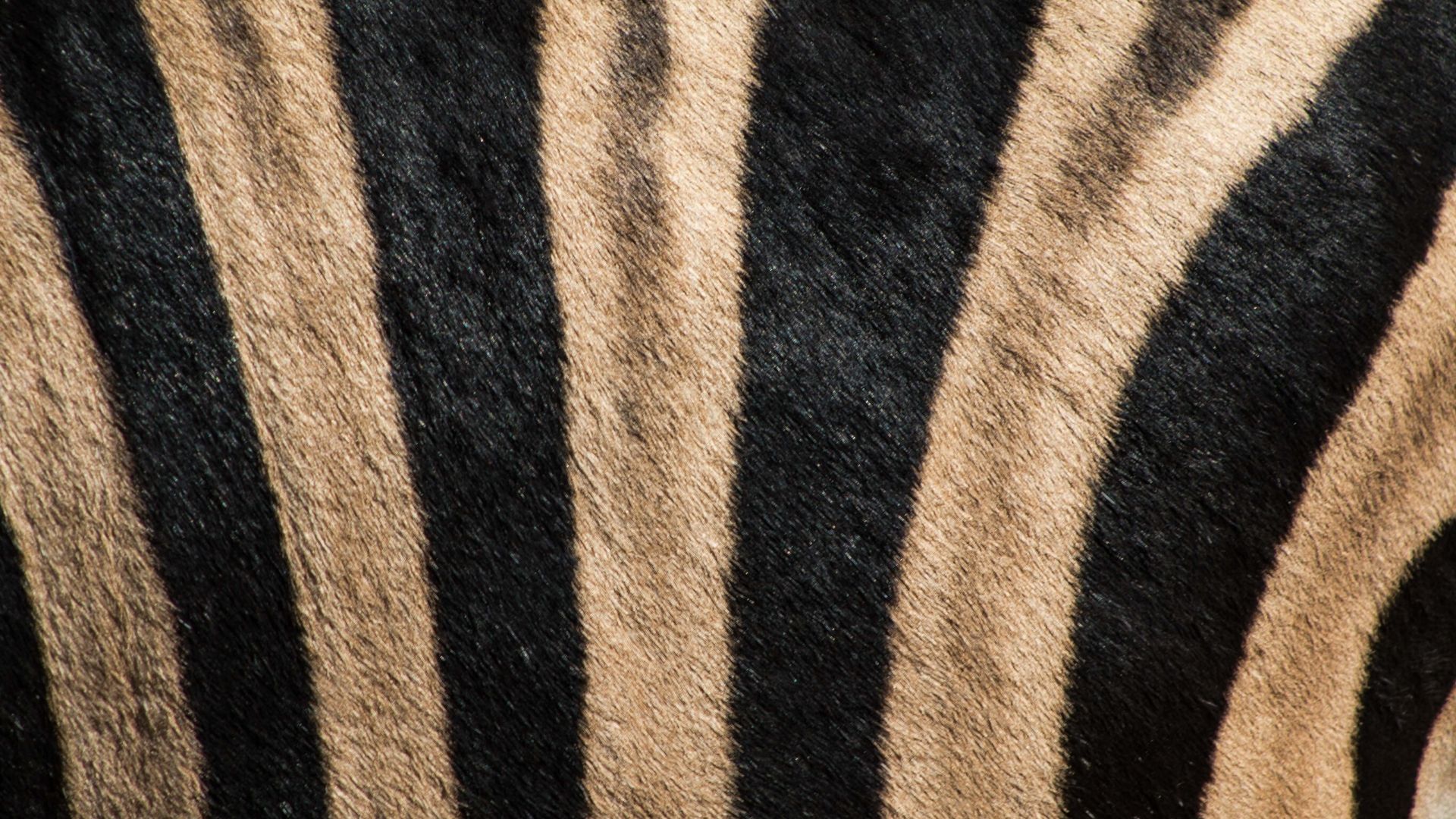 Which reality governs your life?