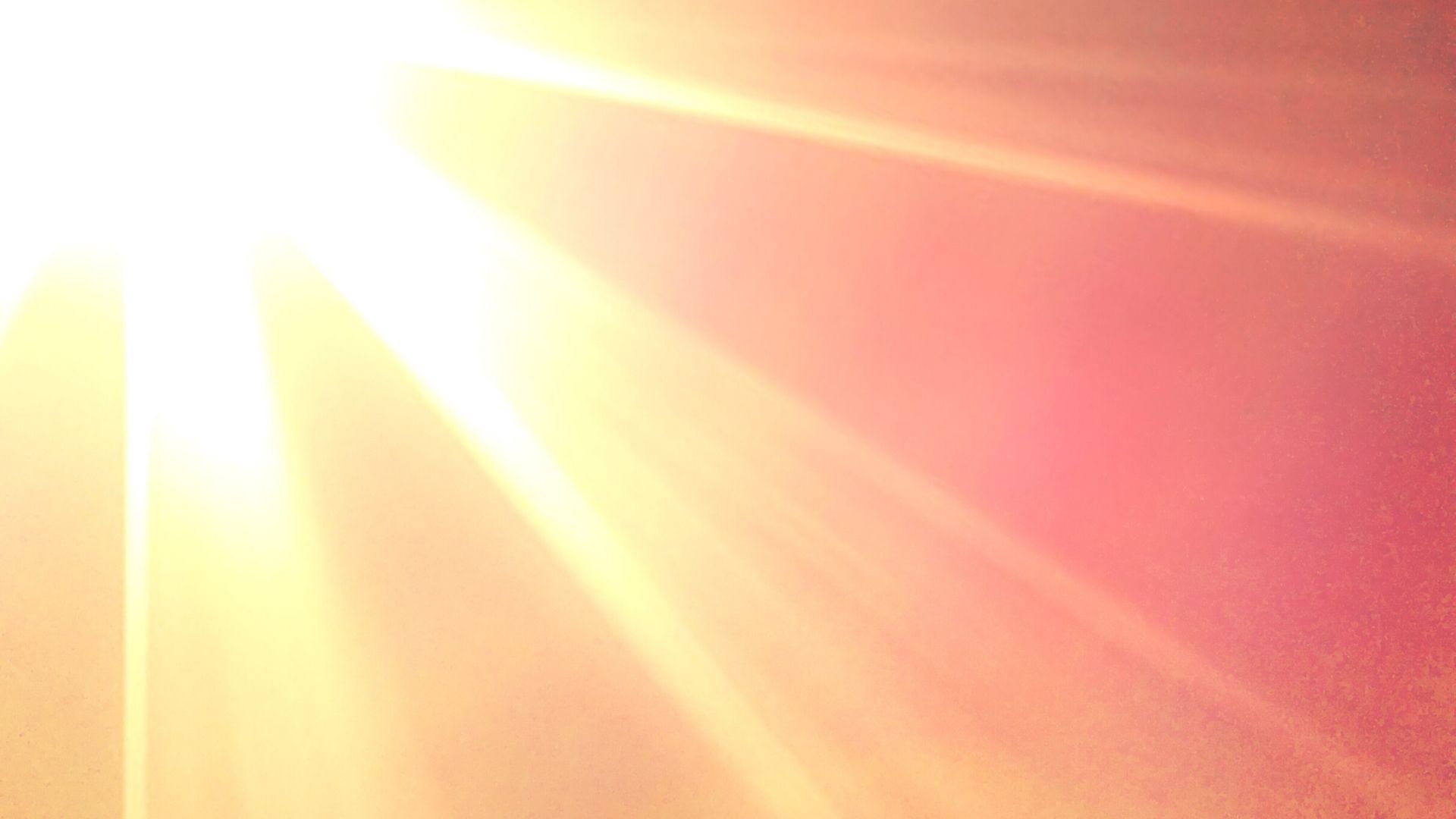 The Shame and the Glory