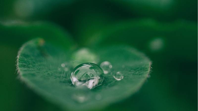 Life as it was meant to be