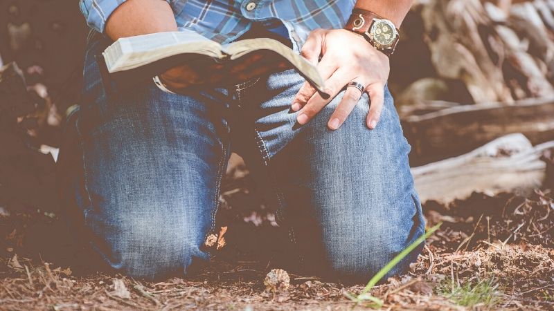 Who do you say I am?