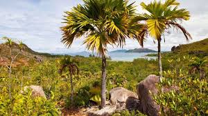 Interpreting Eden, Who is God?