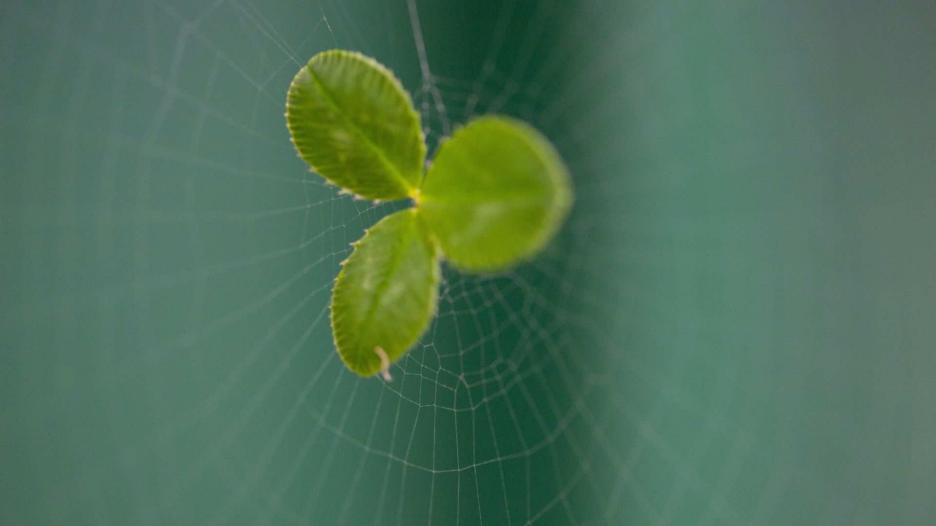 Spiritual warfare IX –The Art of War