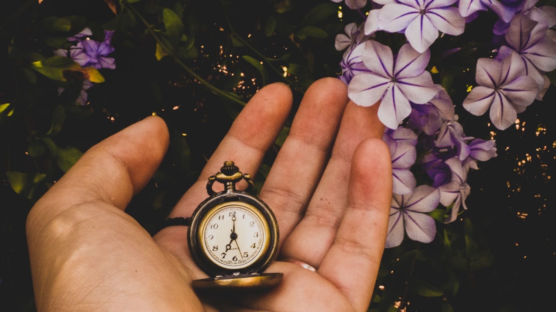 Interpreting Eden: God and Time