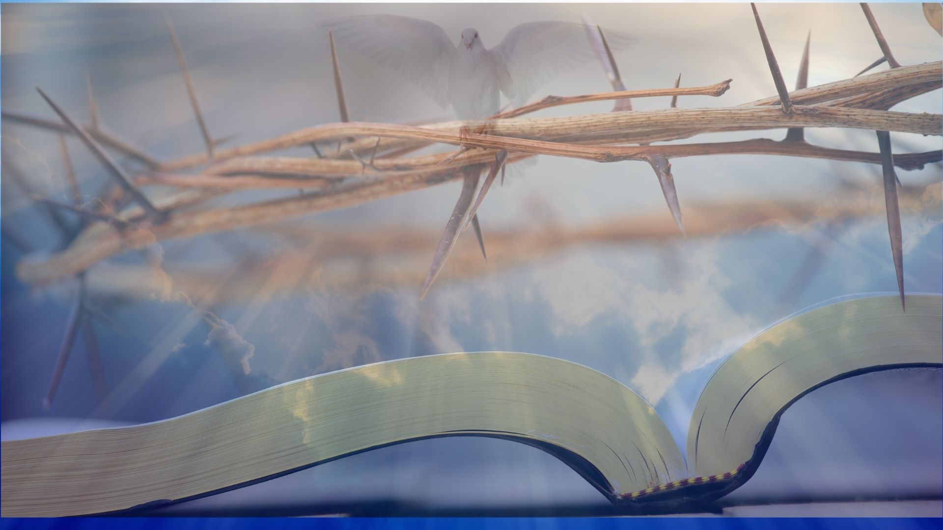 Interpreting Eden: Man Created in the Image of God II