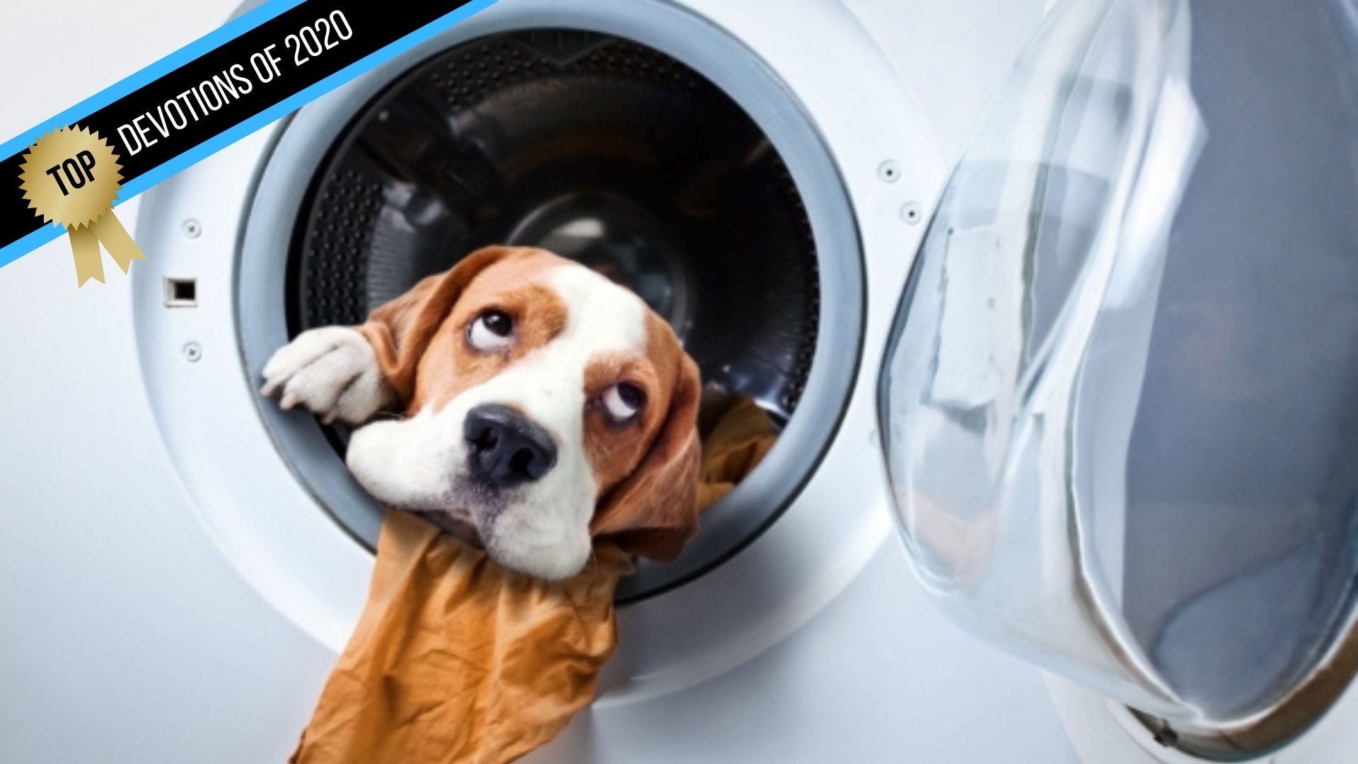 The Old Cycle: I Sin, I Die (Top Devotions of 2020)