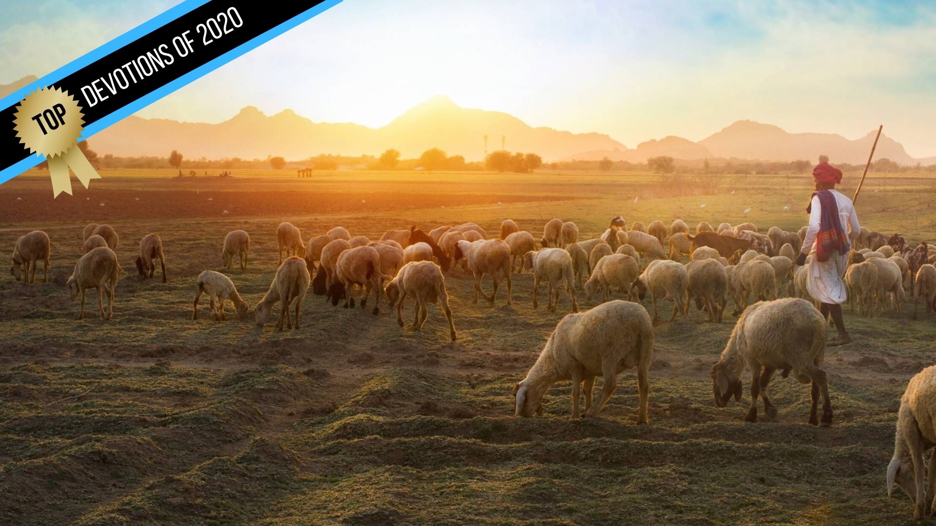 The Lord is My Shepherd – Psalm 23 (Top Devotions of 2020)