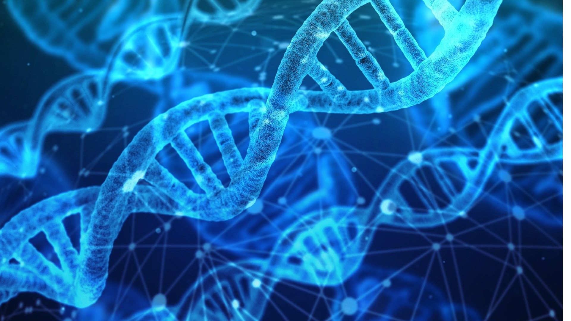 Fearfully and Wonderfully Made