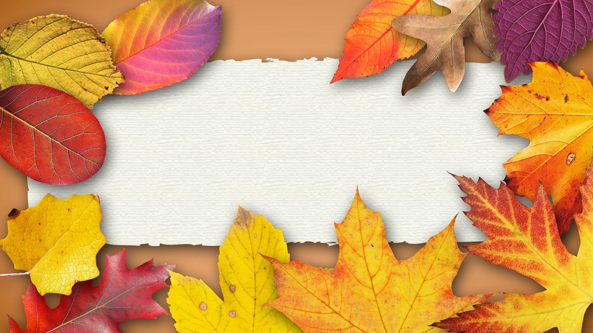 Biblical prescriptions for mental health, Part 2.