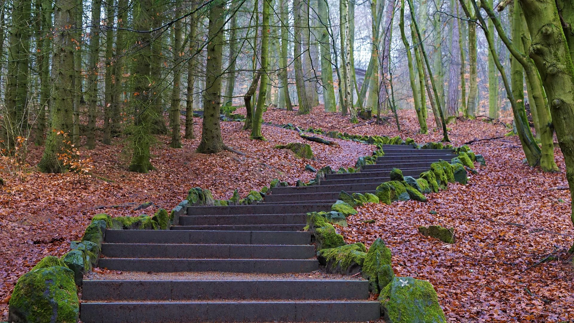 Biblical Prescriptions for Mental Health, Part 3