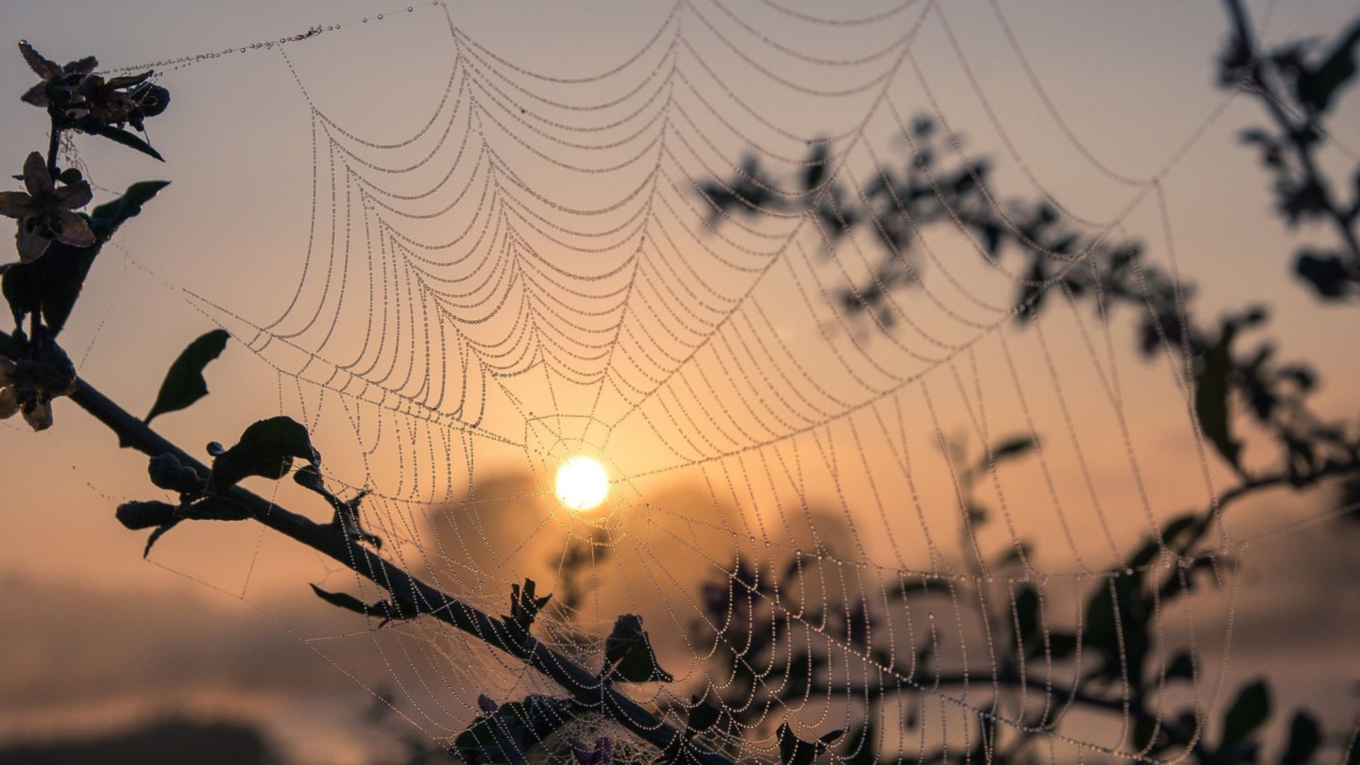 Captured by philosophy