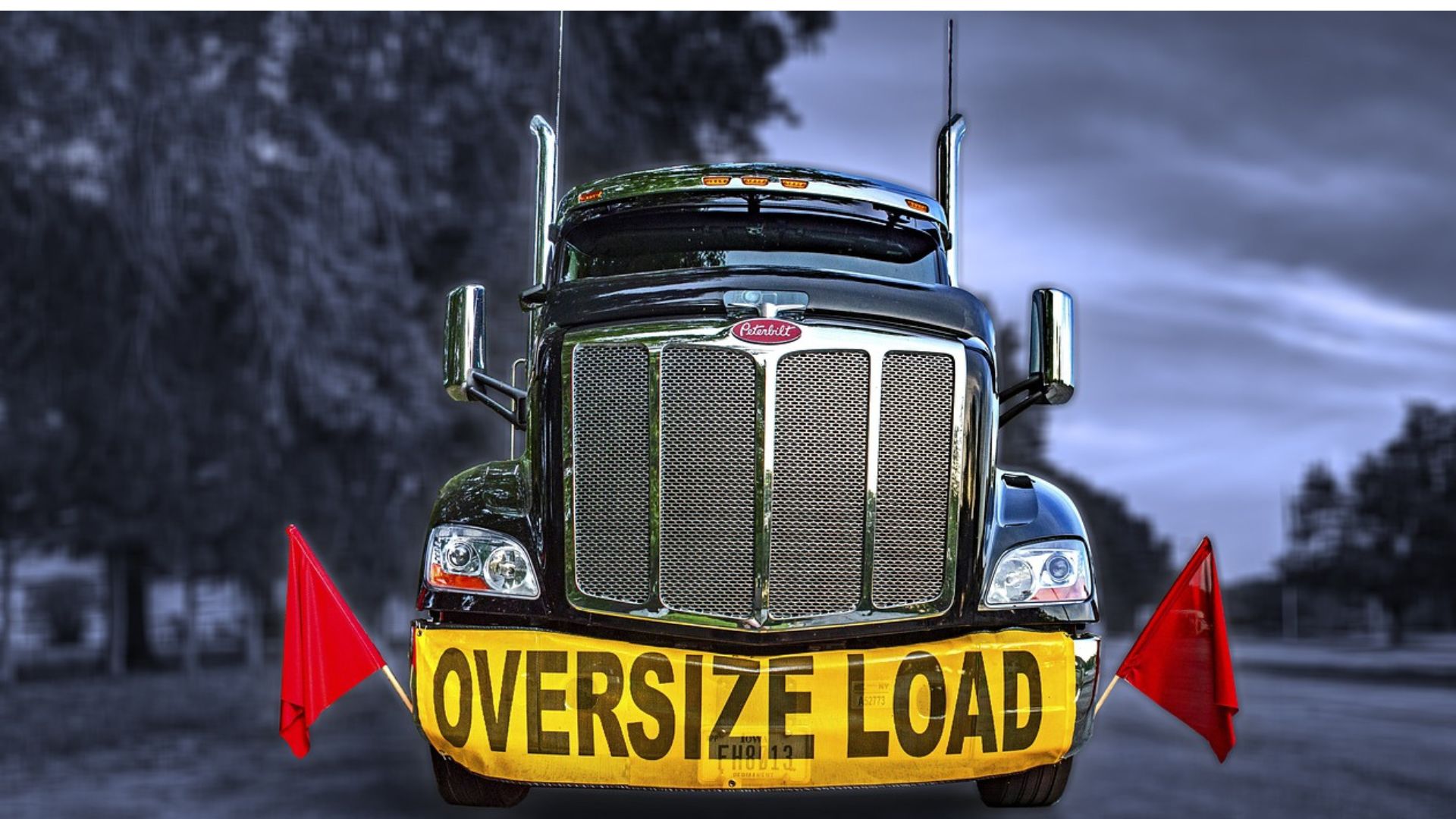 The Rich Young Ruler