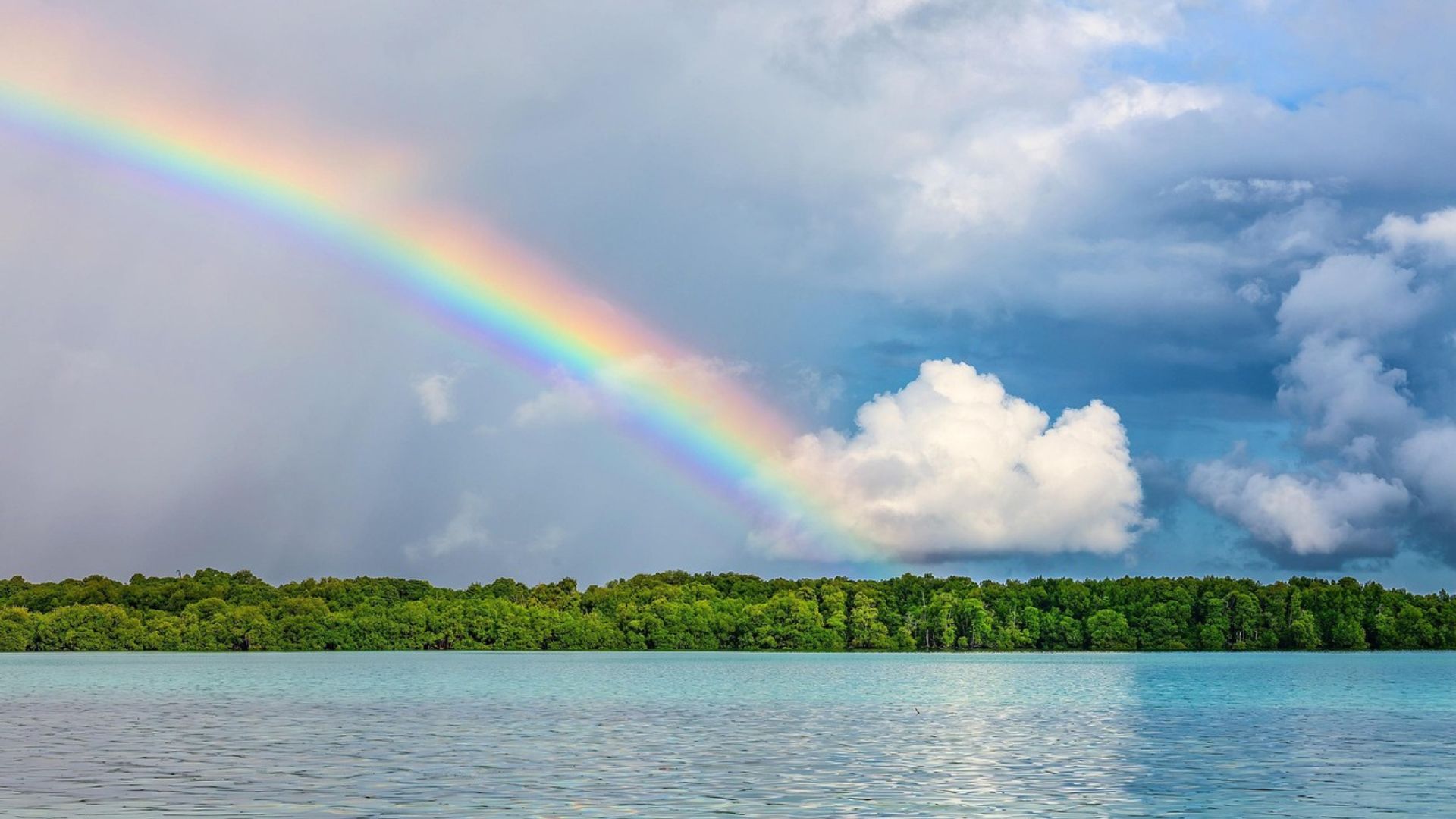 Saints in Christ: Chosen, Called, Converted